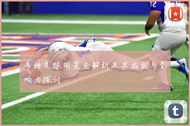 韦姓足球明星全解析及其成就与影响力探讨