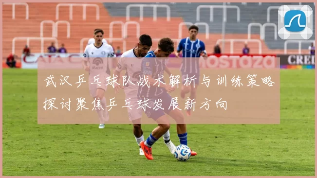 武汉乒乓球队战术解析与训练策略探讨聚焦乒乓球发展新方向