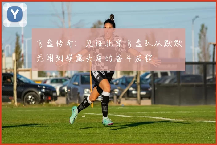 飞盘传奇：见证北京飞盘队从默默无闻到崭露头角的奋斗历程