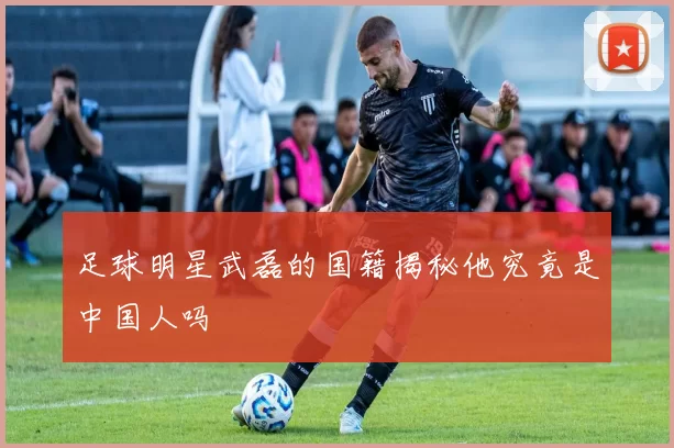 足球明星武磊的国籍揭秘他究竟是中国人吗