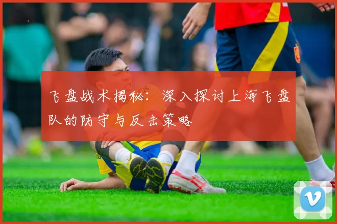 飞盘战术揭秘：深入探讨上海飞盘队的防守与反击策略