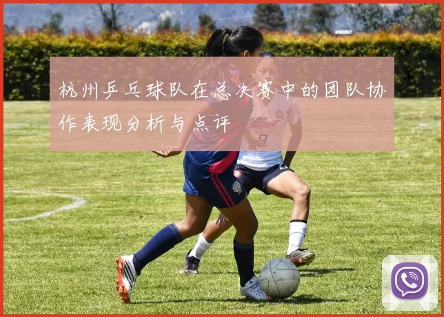 杭州乒乓球队在总决赛中的团队协作表现分析与点评