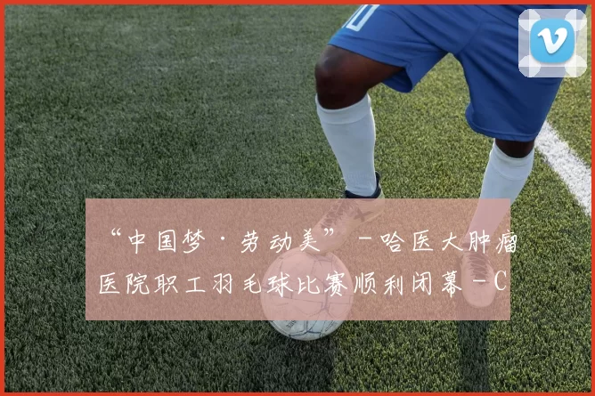 “中国梦·劳动美” - 哈医大肿瘤医院职工羽毛球比赛顺利闭幕 - Copy (3)