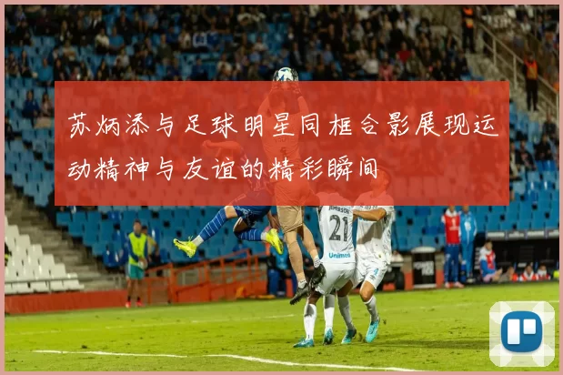 苏炳添与足球明星同框合影展现运动精神与友谊的精彩瞬间