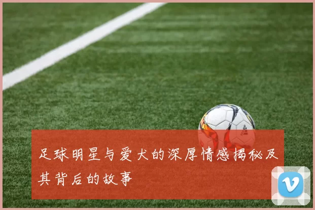足球明星与爱犬的深厚情感揭秘及其背后的故事