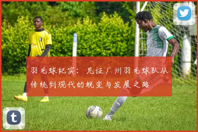 羽毛球纪实：见证广州羽毛球队从传统到现代的蜕变与发展之路