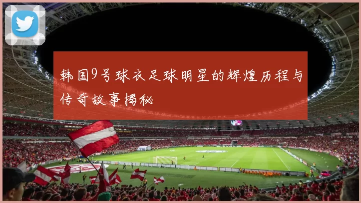 韩国9号球衣足球明星的辉煌历程与传奇故事揭秘