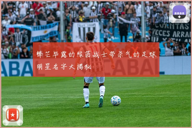 锋芒毕露的绿茵战士带杀气的足球明星名字大揭秘