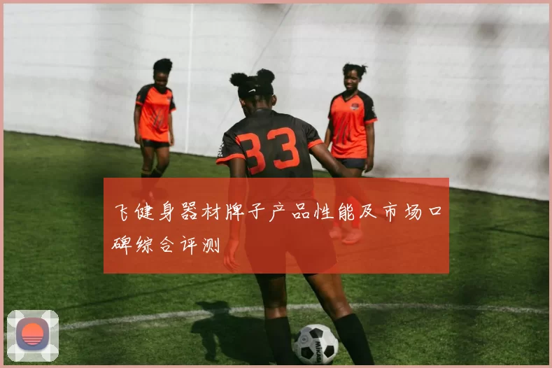 飞健身器材牌子产品性能及市场口碑综合评测