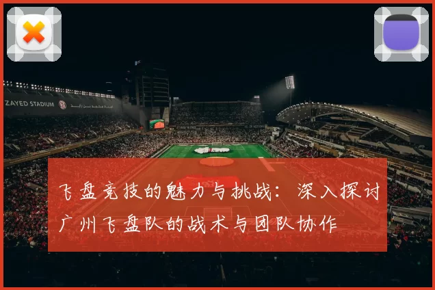 飞盘竞技的魅力与挑战：深入探讨广州飞盘队的战术与团队协作