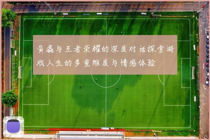 黄磊与王者荣耀的深度对话探索游戏人生的多重维度与情感体验