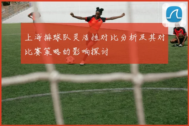 上海排球队灵活性对比分析及其对比赛策略的影响探讨