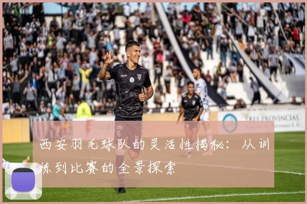西安羽毛球队的灵活性揭秘：从训练到比赛的全景探索