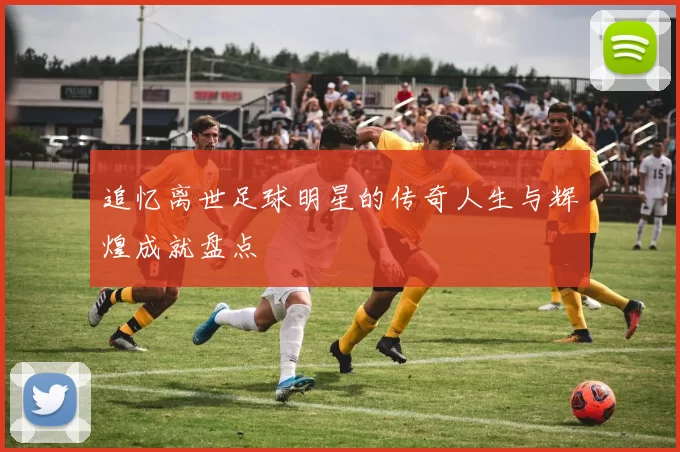 追忆离世足球明星的传奇人生与辉煌成就盘点