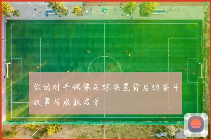 你的对手偶像足球明星背后的奋斗故事与成就启示