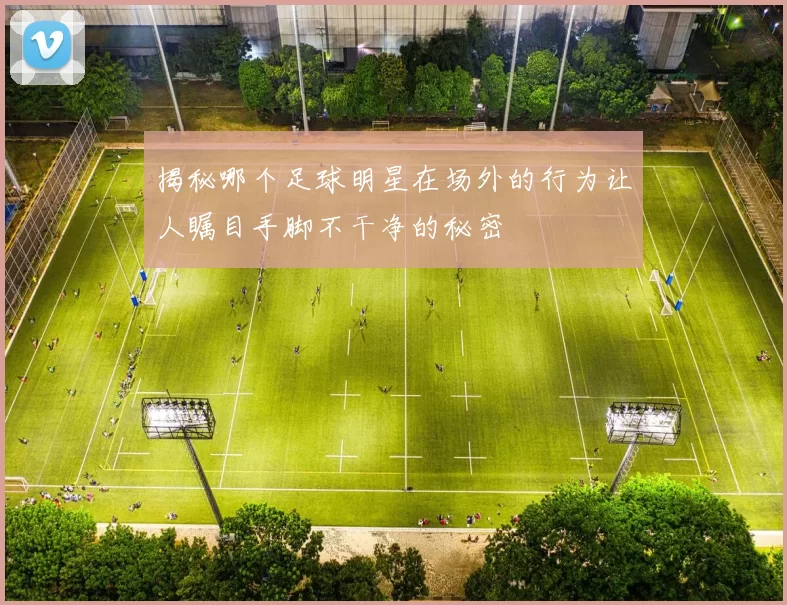 揭秘哪个足球明星在场外的行为让人瞩目手脚不干净的秘密