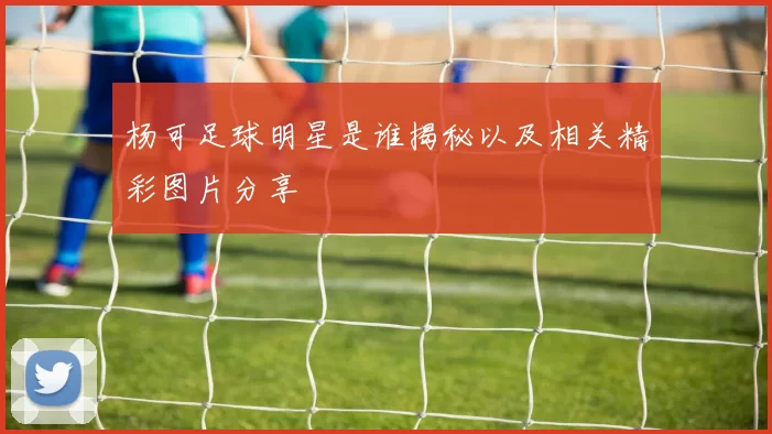 杨可足球明星是谁揭秘以及相关精彩图片分享
